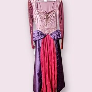 SOLD!!Hocus Pocus Spirit Halloween Sarah Sanderson Dress Costume Witch Costume